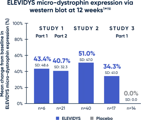 ELEVIDYS micro-dystrophin expression at 12 weeks in 3 studies 