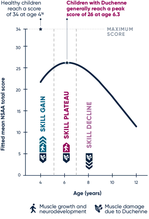 Natural history of NSAA scores in Duchenne